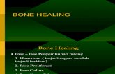 Bone Healing