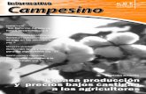 INFORMATIVO CAMPESINO - 208 - ENERO 2006 - CDE - PORTALGUARANI