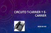 Circuito T-carrier y E-carrier
