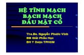 Tinh Mach Bach Mach DMC