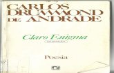 Claro Enigma- Carlos Drummond de Andrade