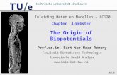 8C120 Inleiding Meten en Modellen – 8C120 Prof.dr.ir. Bart ter Haar Romeny Faculteit Biomedische Technologie Biomedische Beeld Analyse .