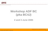 1 Workshop ADF Business Components Workshop ADF BC (pka BC4J) 2 and 3 June 2005.