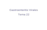 Gastroenteritis Virales Tema 22. Gastroenteritis virales Afectan al intestino delgado (revestimiento epitelial y vellosidades). Cortos periodos de incubación.