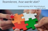 Teamleren, hoe werkt dat?  Onderwijsdag ROC West-Brabant  7 april 2014