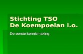 Stichting TSO De Koempoelan i.o.