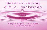 Waterzuivering d.m.v. bacteriën