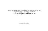 Multisensory integration in  spatial orientation