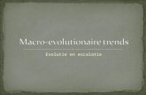 Macro-evolutionaire trends