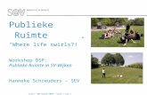 Publieke Ruimte  “Where life swirls?!” Workshop DSP:  Publieke Ruimte in SV-Wijken