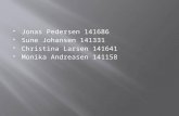 Jonas Pedersen 141686 Sune Johansen 141331 Christina Larsen 141641 Monika Andreasen 141158