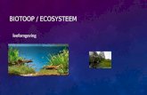 Biotoop  / ecosysteem