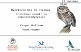 Overleven bij de Steenuil Inzichten vanuit de populatiedynamica Caspar Hallman Ruud Foppen