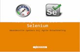 Workshop FitNesse & Selenium