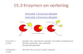 15.3 Enzymen en vertering