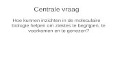 Centrale vraag