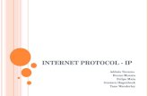 Internet  Protocol  - IP