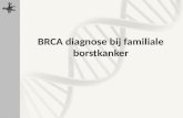 BRCA diagnose bij familiale borstkanker