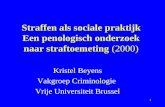 Straffen als sociale praktijk Een penologisch onderzoek naar straftoemeting  (2000)