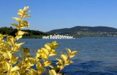 Het  Balatonmeer ..