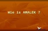 Wie is AMALEK ?