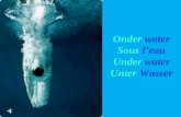 Onder water Sous  l’eau Under water Unter Wasser