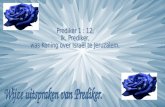 Prediker 1 : 12, Ik, Prediker,  was Koning over Israël te Jeruzalem.