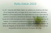 Rally Dakar 2010