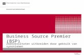 Business Source Premier (BSP)