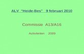Commissie  A13/A16  Activiteiten    2009