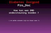 Diabetes Zorgpad Pro_Doc