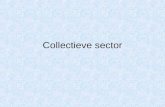 Collectieve sector