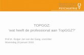 TOPGGZ: ‘wat heeft de professional aan TopGGZ?’ Prof.dr. Rutger Jan van der Gaag, voorzitter