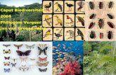 Caput Biodiversiteit  2004 Philippine Vergeer Jan van Groenendael