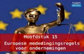 Hoofdstuk 15  Europese mededingingsregels voor ondernemingen