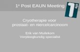1 e  Post EAUN Meeting