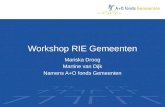 Workshop RIE Gemeenten