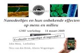 Nanodeeltjes en hun onbekende effecten op mens en milieu GMF workshop  11 maart 2009
