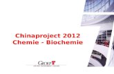 Chinaproject 2012 Chemie - Biochemie