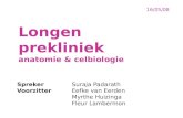 Longen prekliniek anatomie & celbiologie