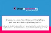 Bekijkjetoekomstnu.nl  is een initiatief van gemeenten in de regio Haaglanden.