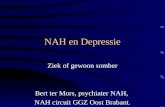 NAH en Depressie