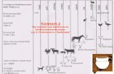 Kenmerk 2 Het ontstaan van landbouw en  landbouwsamenlevingen Les 2: Prehistorie in “Nederland”