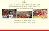 Leren omgaan met meertaligheid in het basisonderwijs in de Vlaamse rand- en taalgrensgemeenten