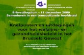 Brio-colloquium – 11 december 2009  Samenleven in een transculturele hoofdstad