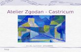 Atelier Zgodan - Castricum
