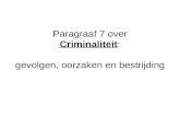 Paragraaf 7 over Criminaliteit : gevolgen, oorzaken en bestrijding