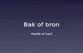 Bak of bron