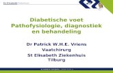 Diabetische voet Pathofysiologie, diagnostiek en behandeling
