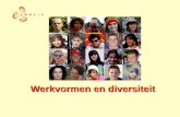 Werkvormen en diversiteit